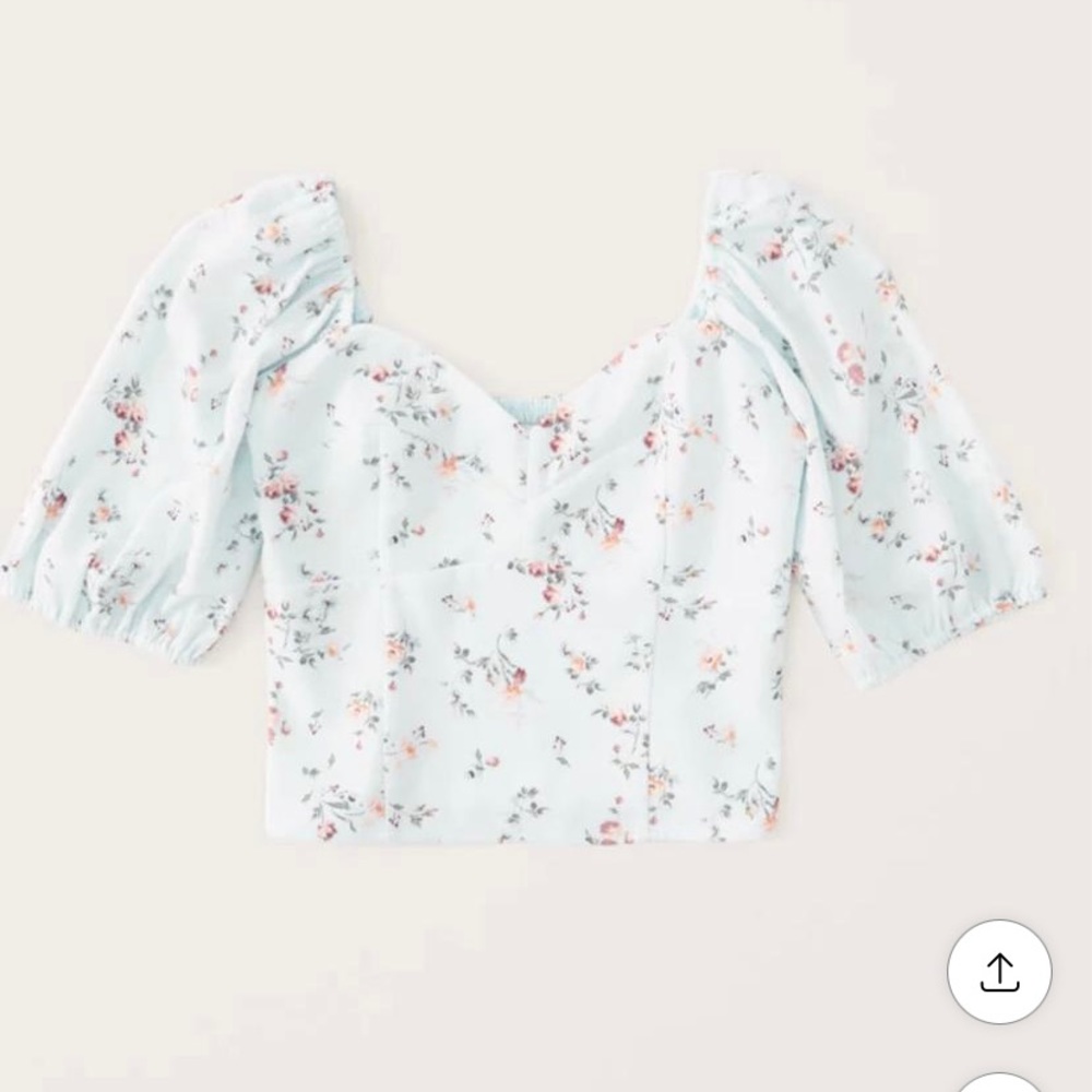 NWT Abercrombie Corset Puff Sleeve Blue Floral Top (Small)